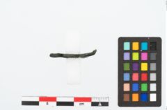 Foto von Bronzetierfigur (NHMW-PRAE-025487)